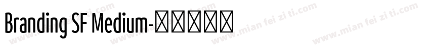 Branding SF Medium字体转换